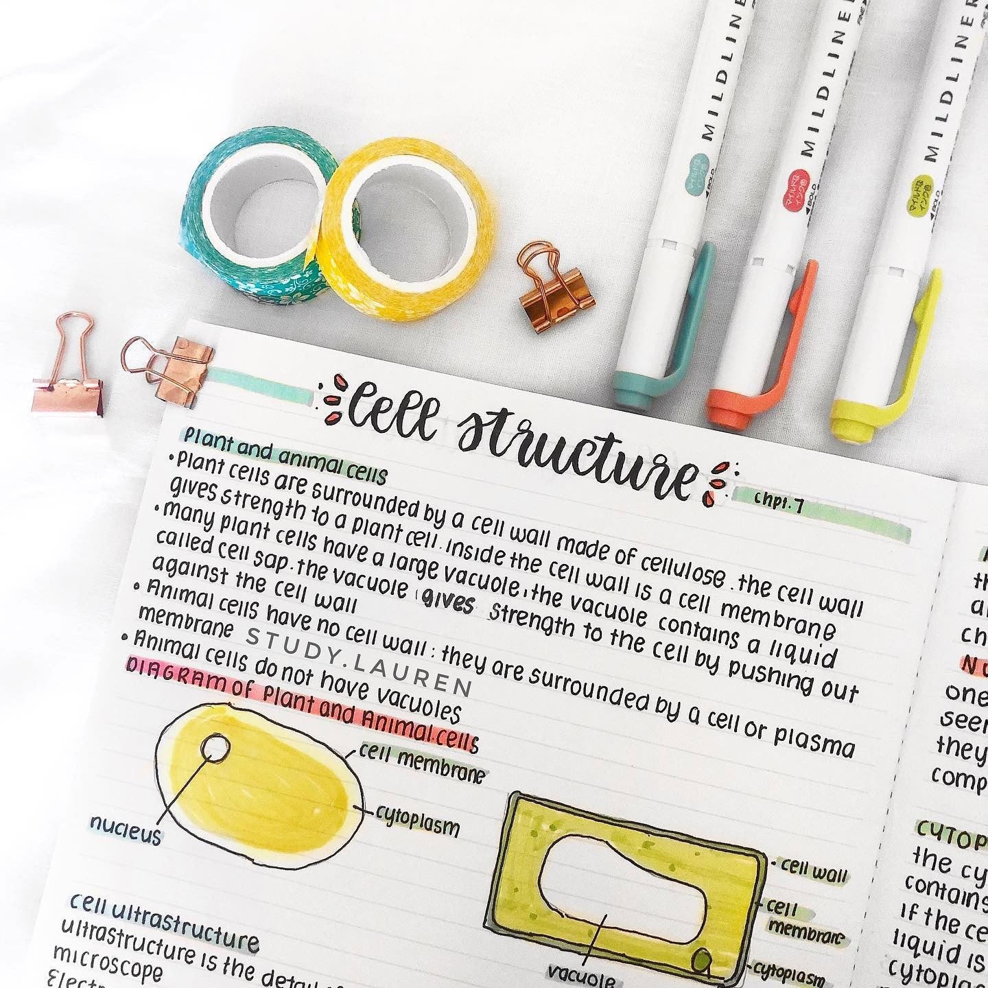 MILDLINER Dual-Tip Creative Highlighter - Image 25