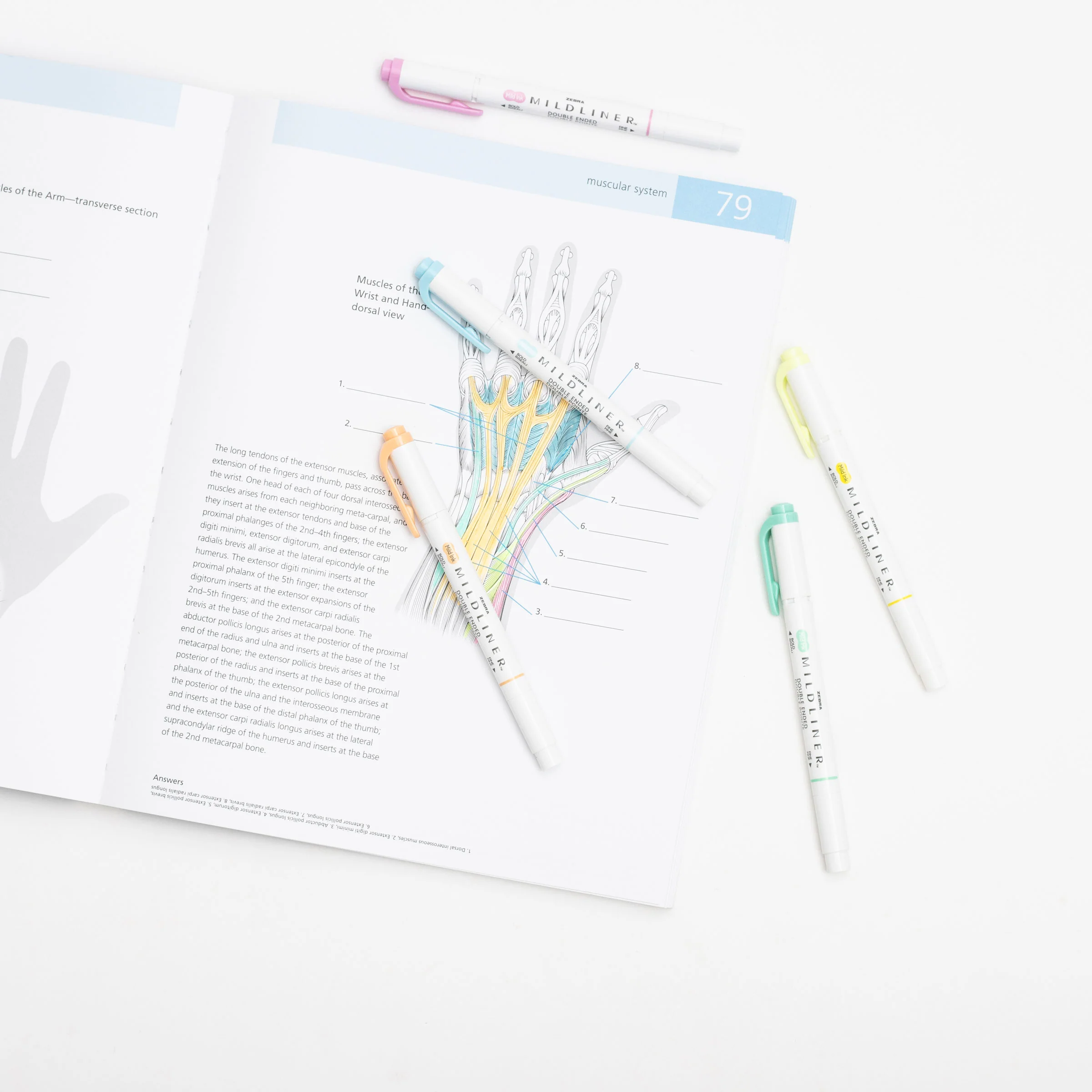MILDLINER Dual-Tip Creative Highlighter - Image 43