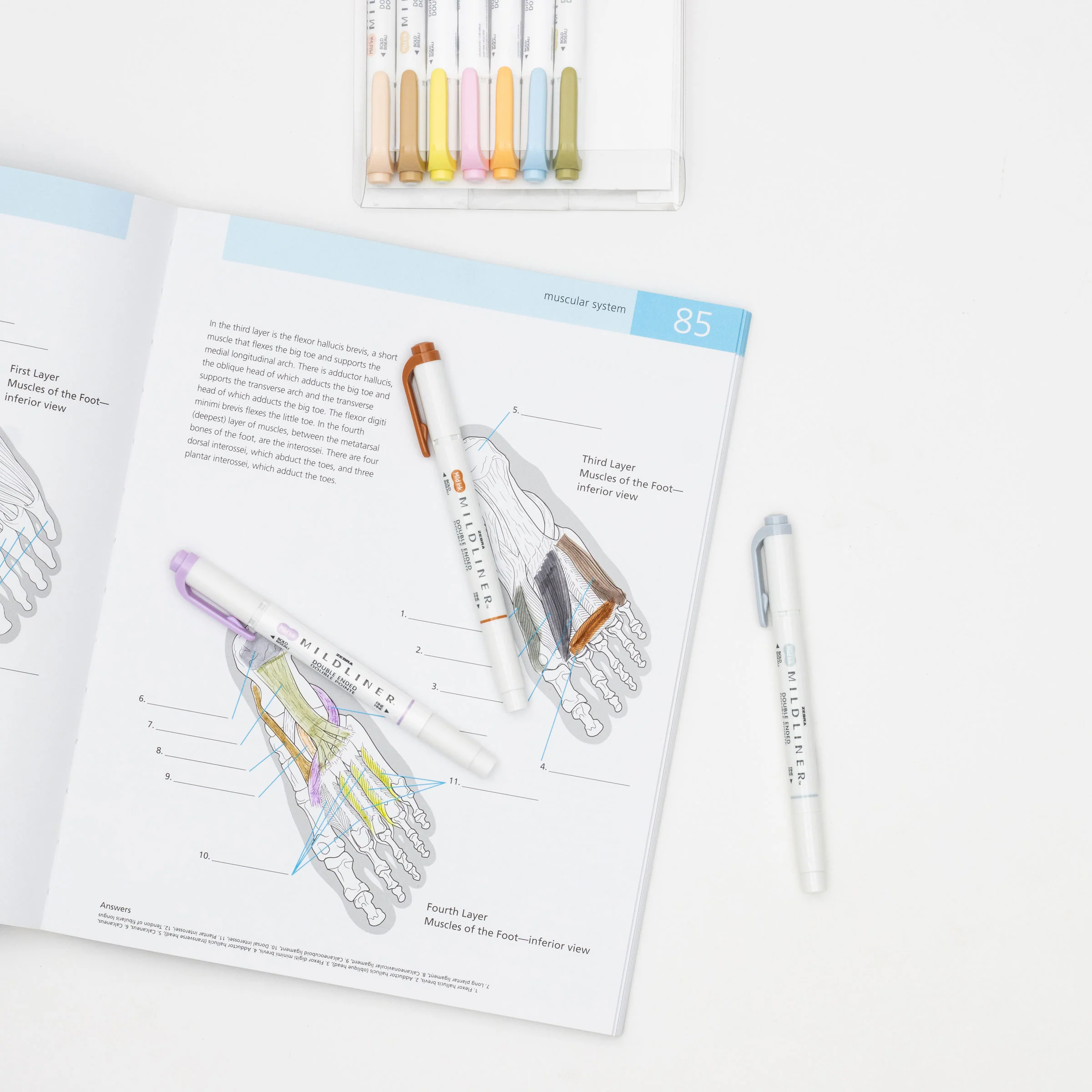 MILDLINER Dual-Tip Creative Highlighter - Image 61